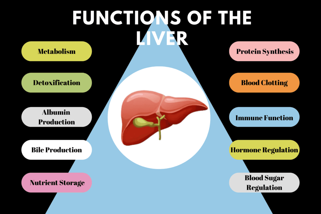 10 Functions of The Liver - QPIOR