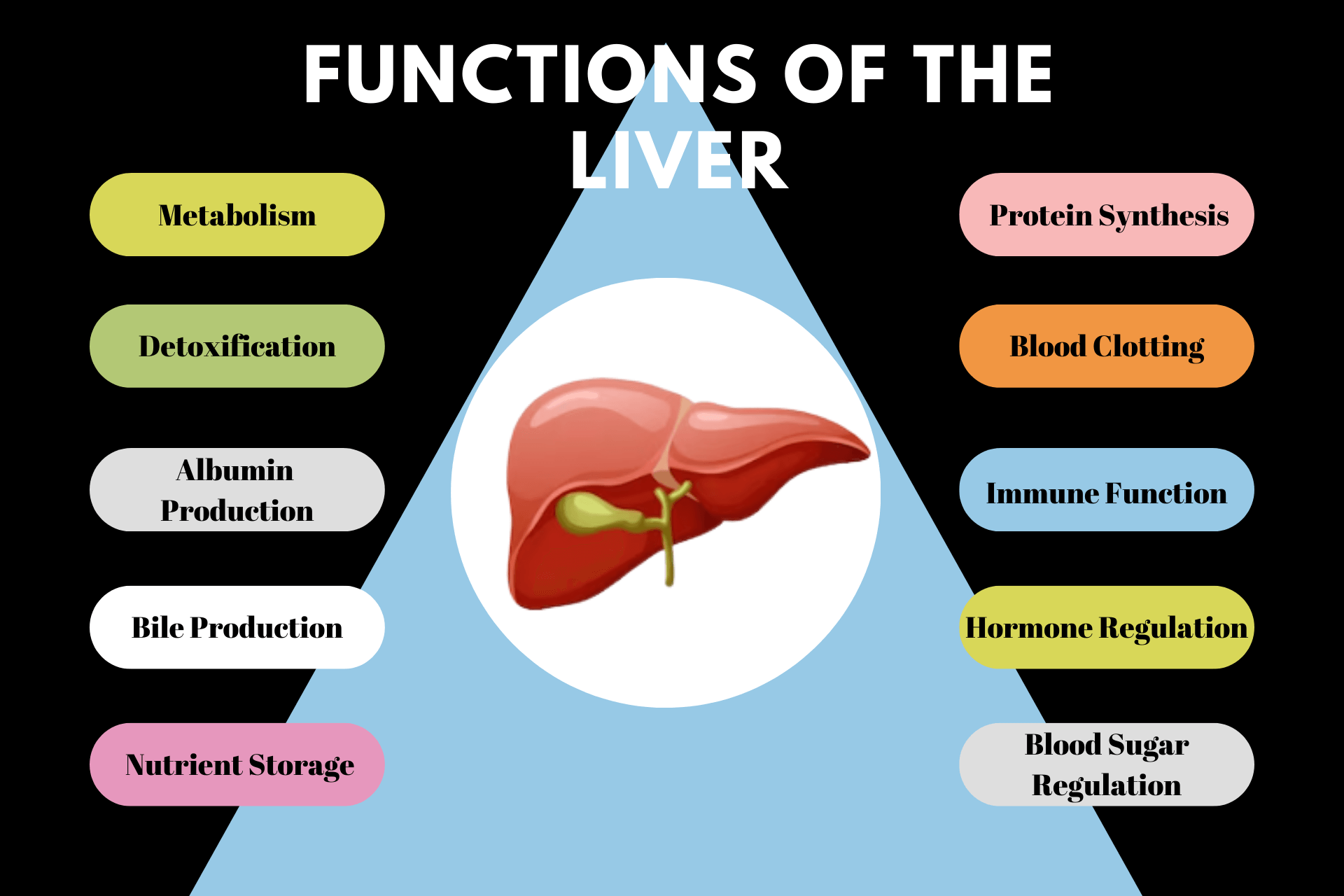 10-functions-of-the-liver-qpior