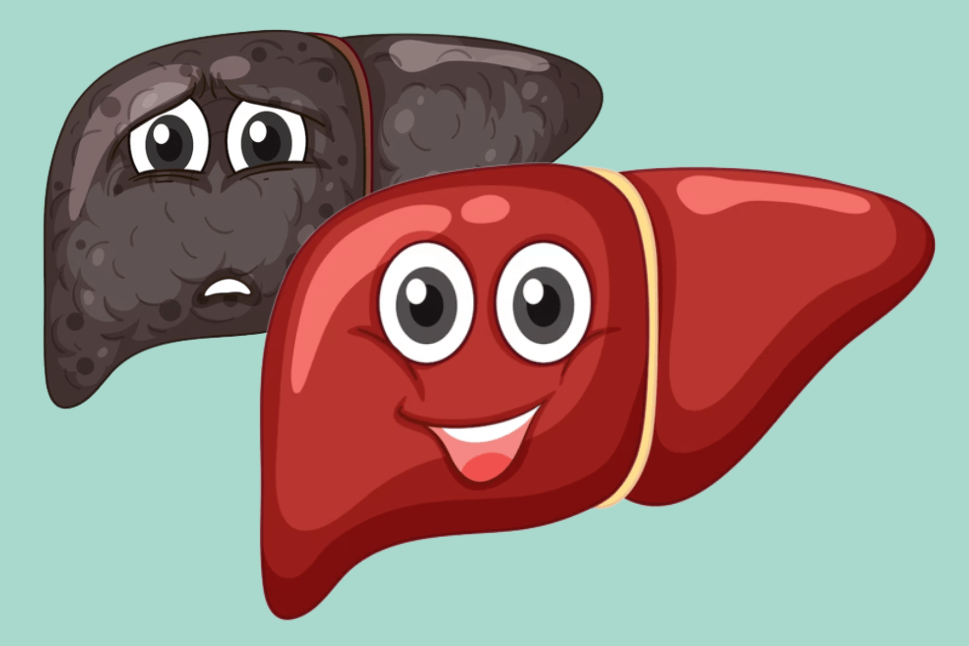 Liver Regeneration: Everything You Need To Know- QPIOR